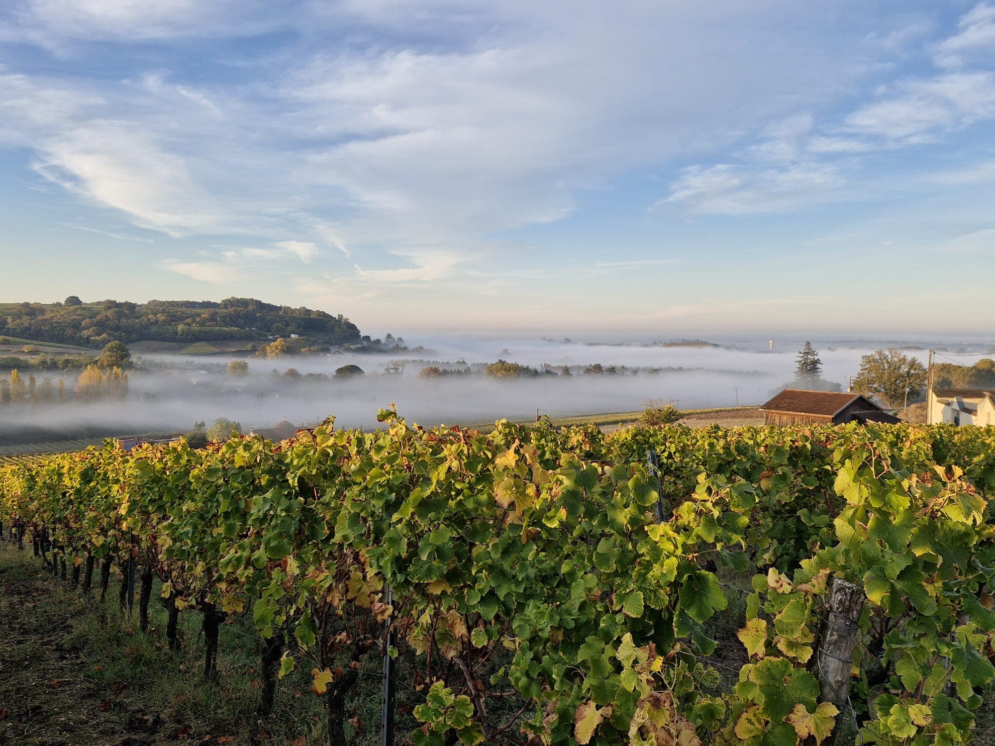 Une mosaïque de terroirs